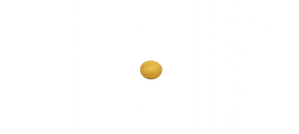 Eine türkise Feder mit goldenen Ornamenten im Kiel