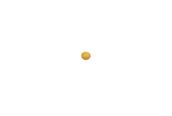 Eine türkise Feder mit goldenen Ornamenten im Kiel