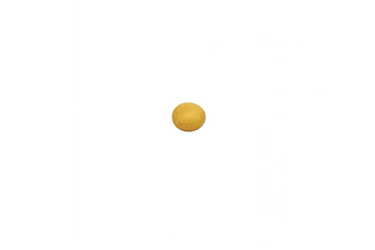 Eine türkise Feder mit goldenen Ornamenten im Kiel